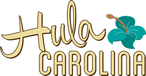 A logo of tula caroli, with the name in cursive.